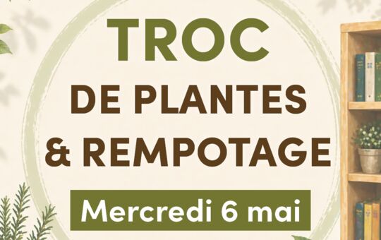 Troc de plantes et rempotage