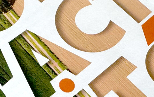 Rapports d'activité