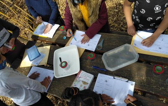 Animations scolaires