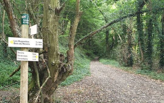 Les balades nature de l'Office de Tourisme