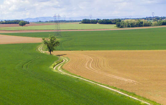 La stratégie agricole et alimentaire